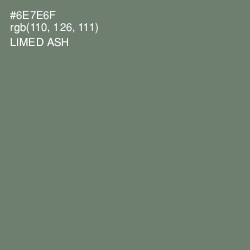 #6E7E6F - Limed Ash Color Image